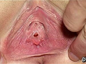 The charm of virgin bawdy cleft